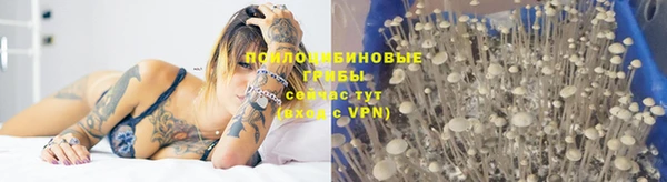 скорость mdpv Белокуриха