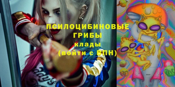 ешки Белоозёрский