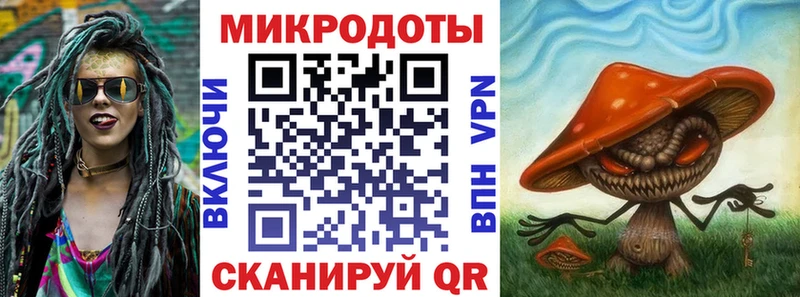 дарнет шоп  Красный Холм  Псилоцибиновые грибы Psilocybe 